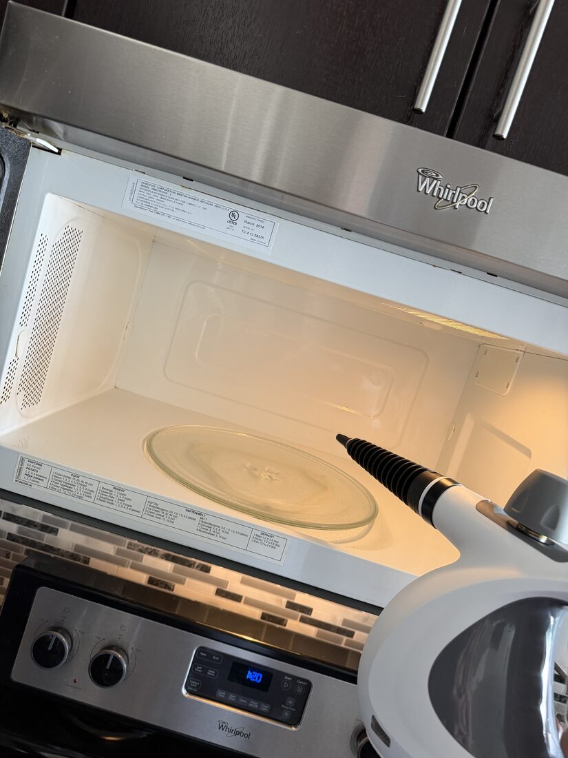 Customer steaming the inside of a microwave with the Velmora